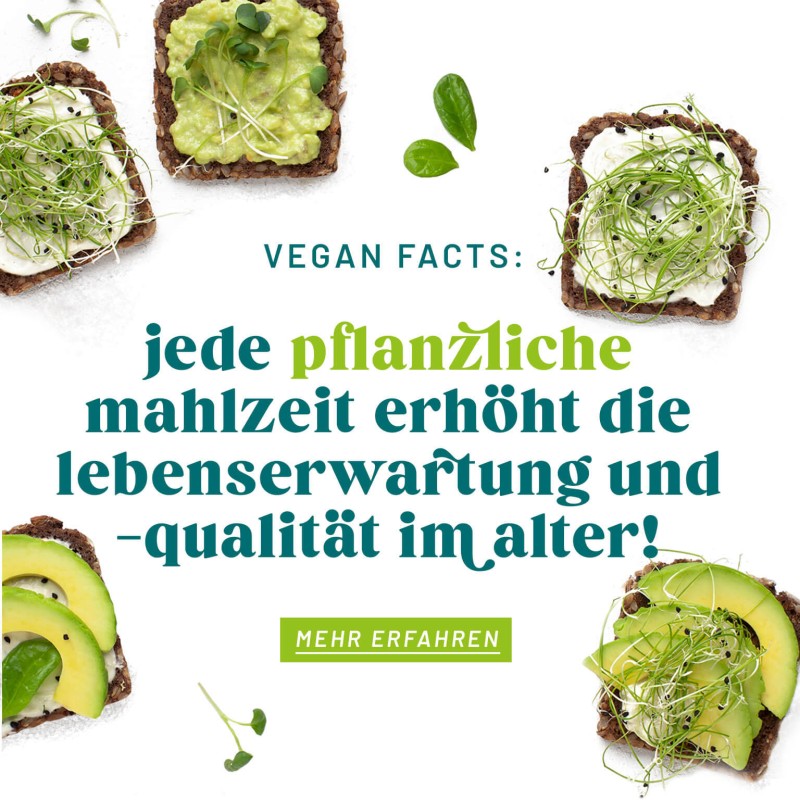 media/image/499245777-velivery_vegan_facts_mobile.jpg