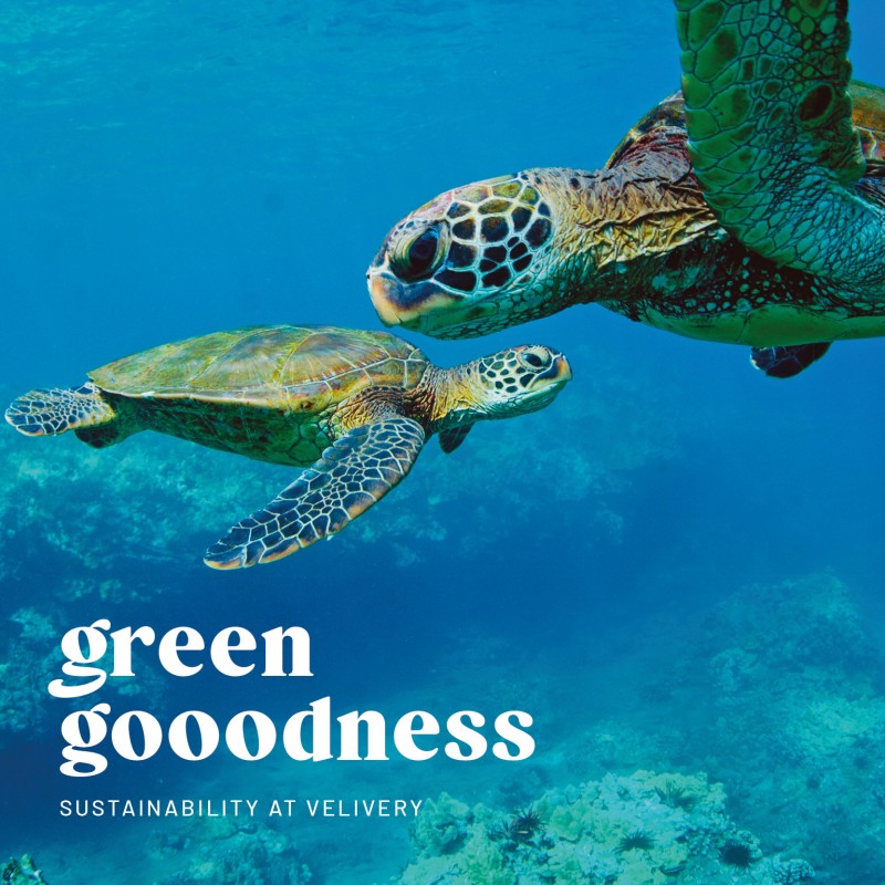 media/image/velivery_greengoodness_1536x15362.jpg